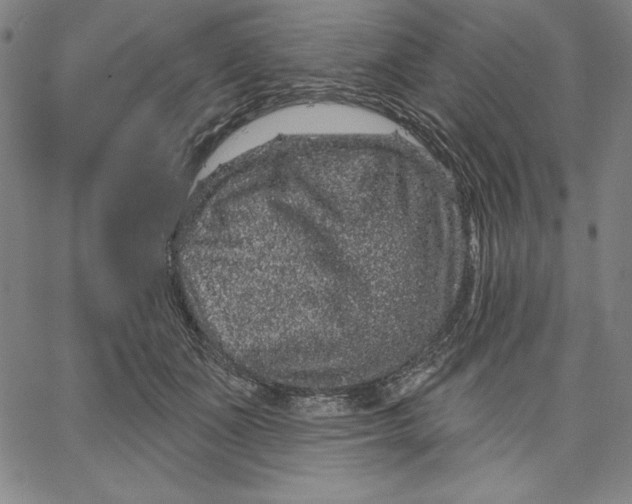 X0000066530511200604071620