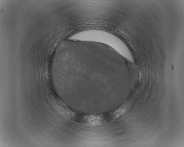 X0000066530512200604071620