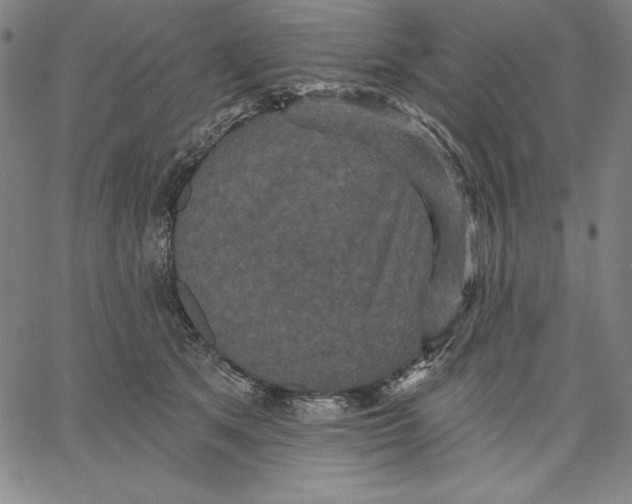 X0000066530513200604071620