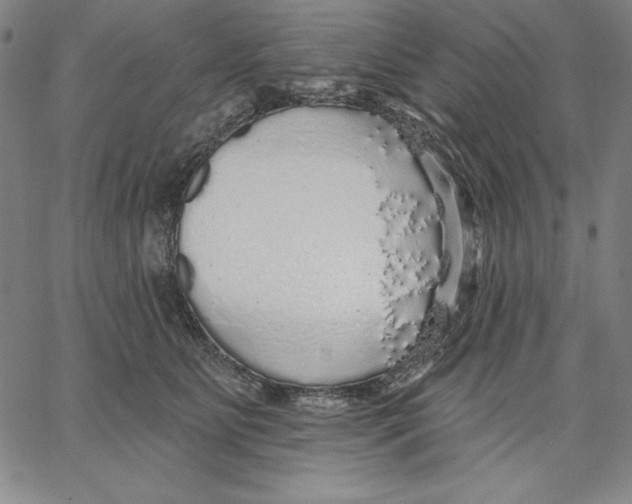 X0000066530515200604071620