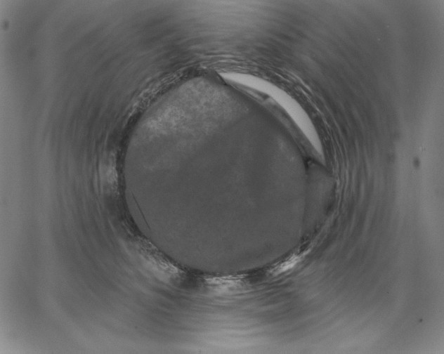 X0000066530516200604071620