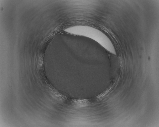 X0000066530517200604071620