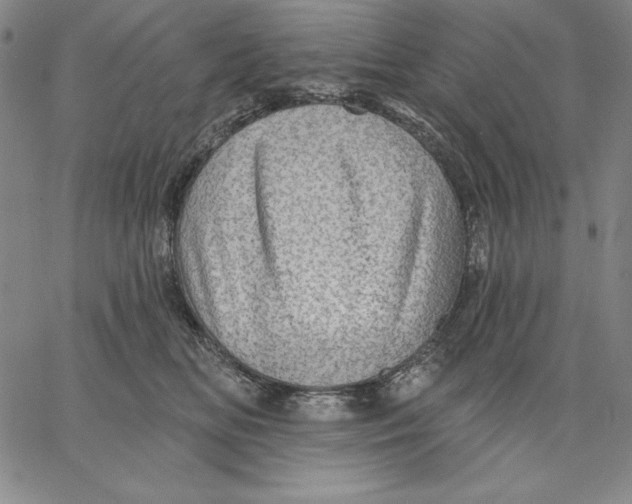 X0000066530518200604071620