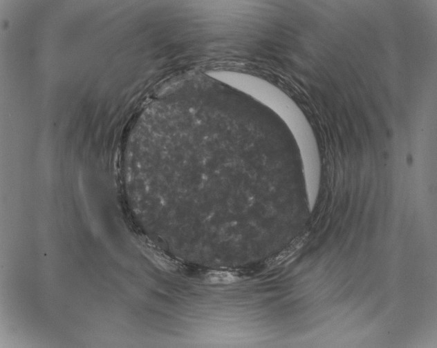 X0000066530519200604071620