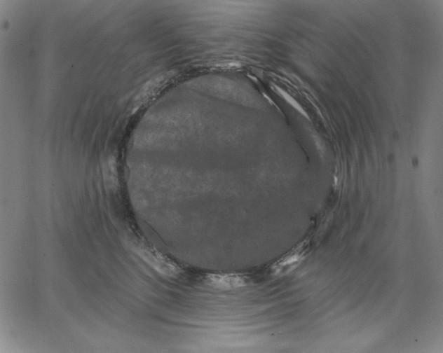 X0000066530520200604071620