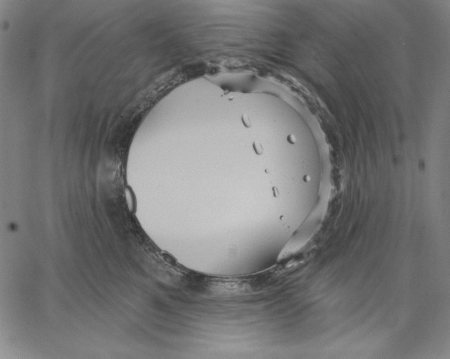 X0000066530521200604071620