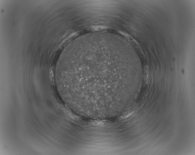 X0000066530523200604071620