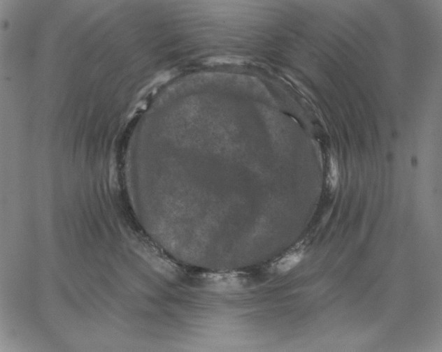 X0000066530524200604071620