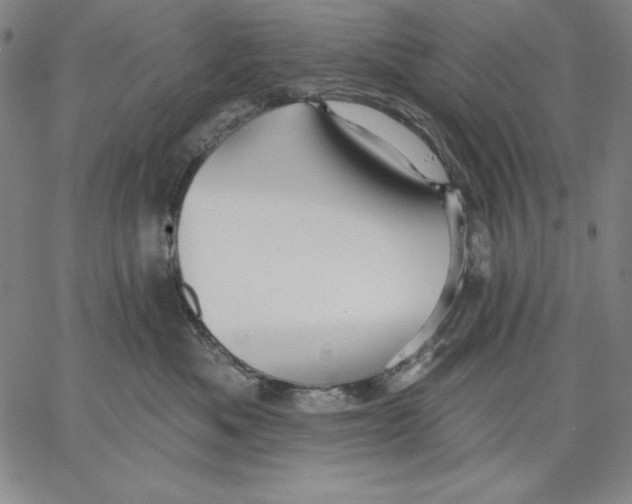 X0000066530525200604071620