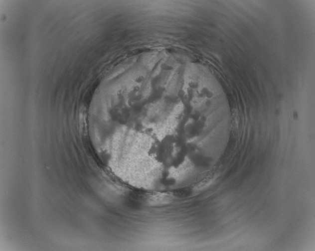 X0000066530527200604071620