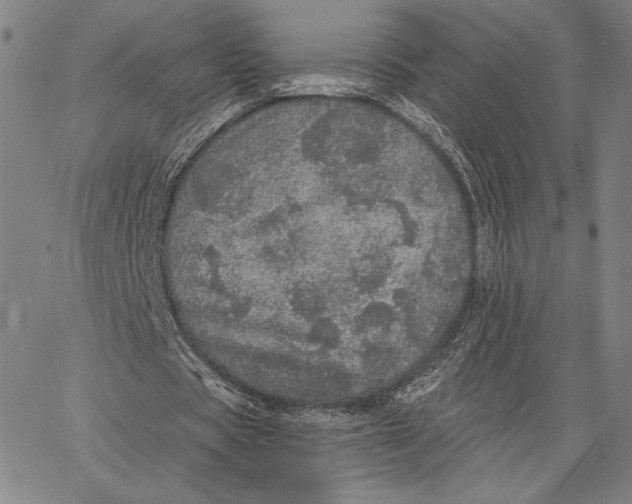 X0000066530529200604071619