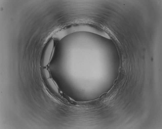 X0000066530530200604071619