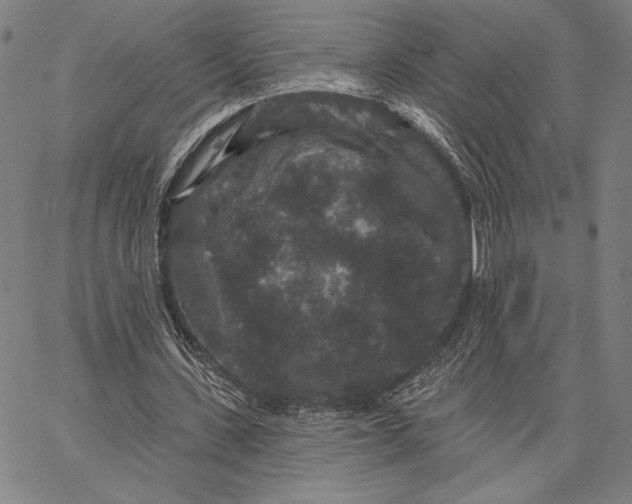 X0000066530531200604071619