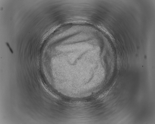 X0000066530533200604071619