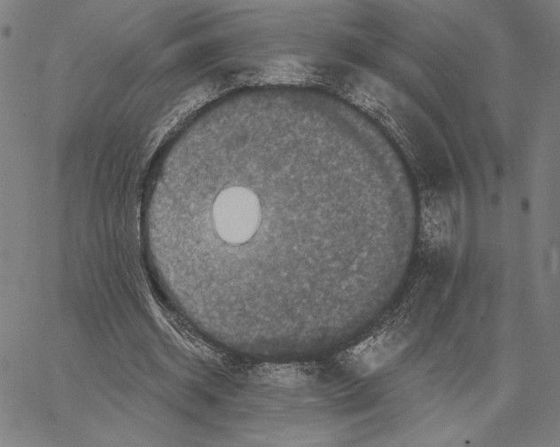 X0000066530534200604071619