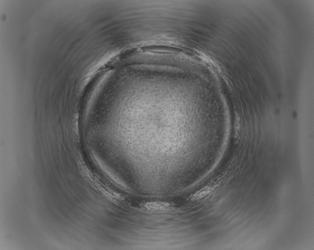 X0000066530535200604071619