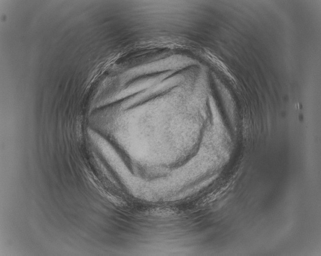 X0000066530537200604071619