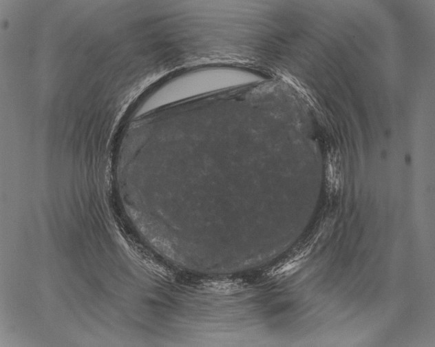 X0000066530540200604071619