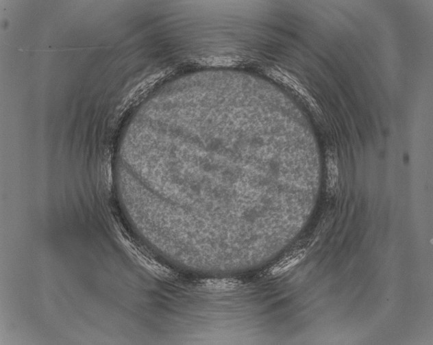 X0000066530541200604071619