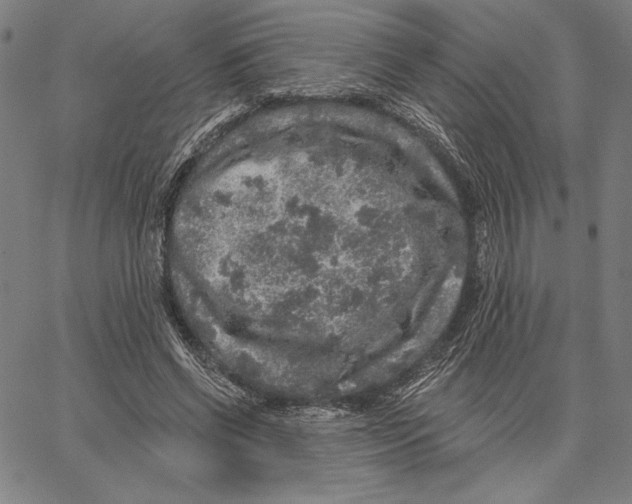 X0000066530542200604071619