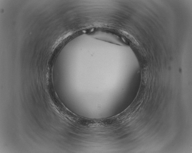 X0000066530544200604071619