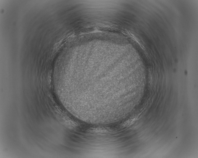 X0000066530545200604071619