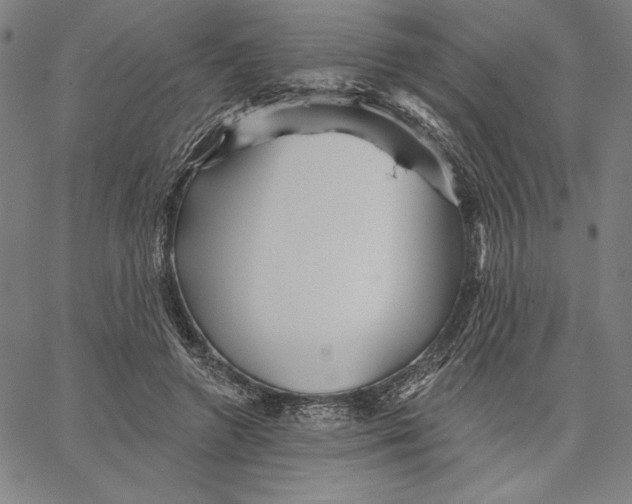 X0000066530546200604071619