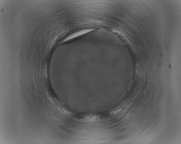 X0000066530547200604071619