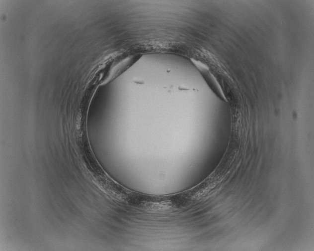 X0000066530548200604071619