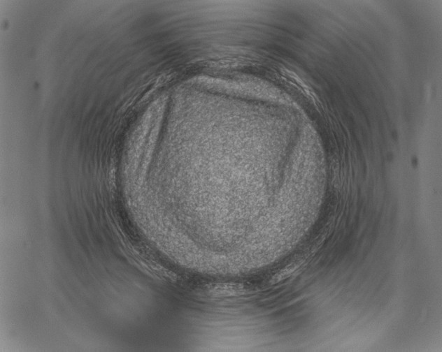 X0000066530549200604071619