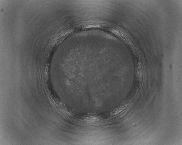 X0000066530551200604071619