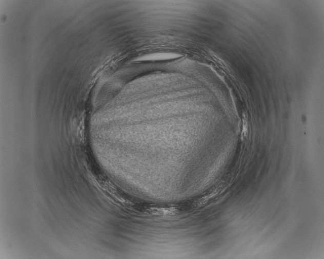 X0000066530552200604071619