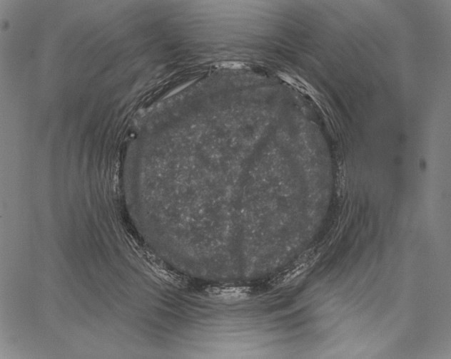 X0000066530553200604071619