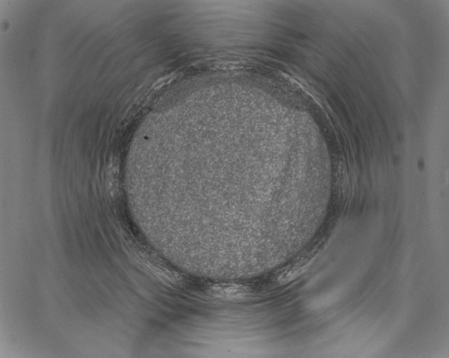 X0000066530557200604071620