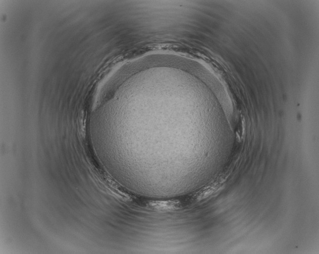 X0000066530558200604071620