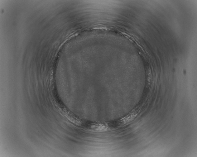 X0000066530559200604071620