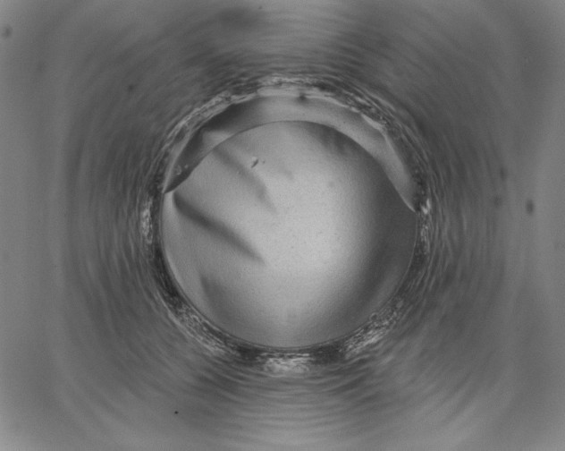 X0000066530560200604071620