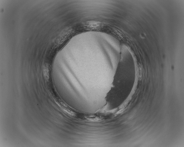 X0000066530562200604071620