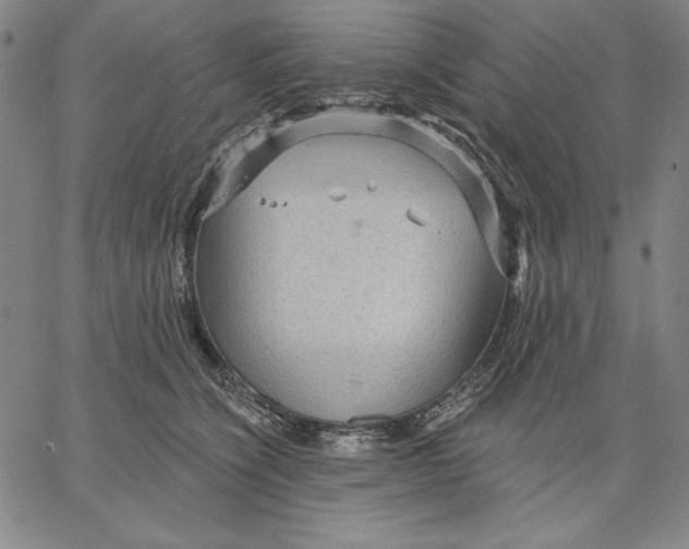 X0000066530564200604071620