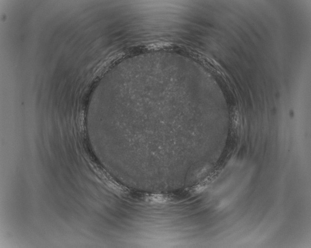 X0000066530565200604071620