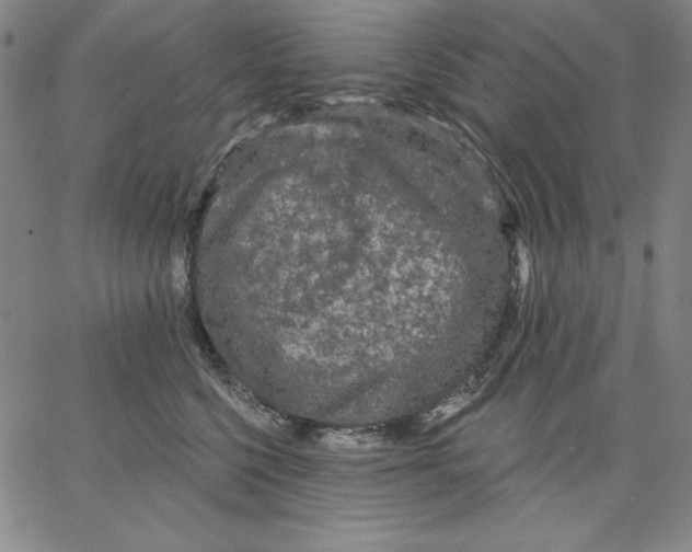 X0000066530568200604071620