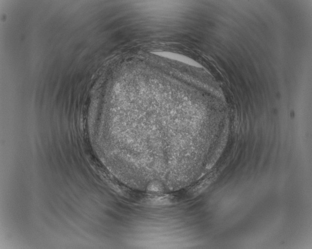 X0000066530569200604071620