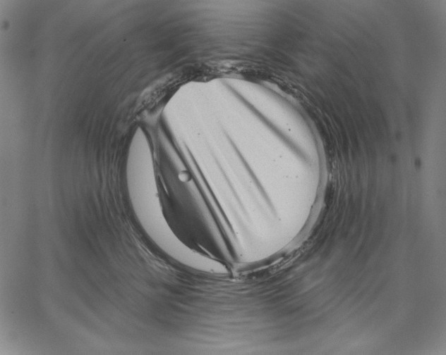 X0000066530570200604071620