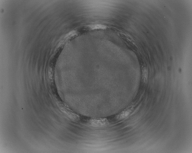 X0000066530571200604071620