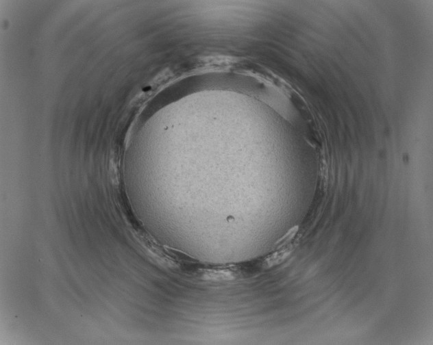 X0000066530572200604071620