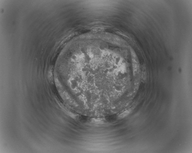 X0000066530573200604071620