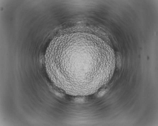 X0000066530574200604071620