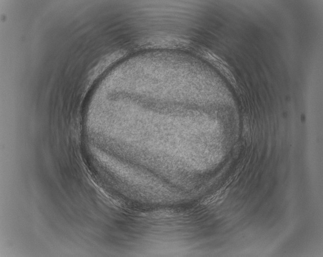 X0000066530578200604071619