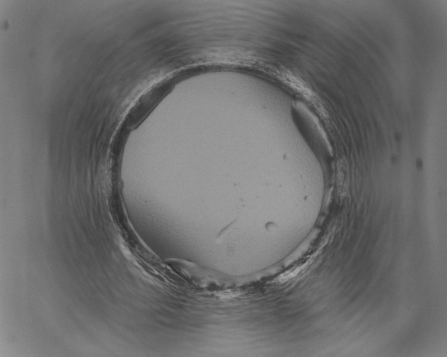 X0000066530580200604071619