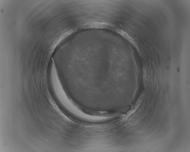 X0000066530581200604071619